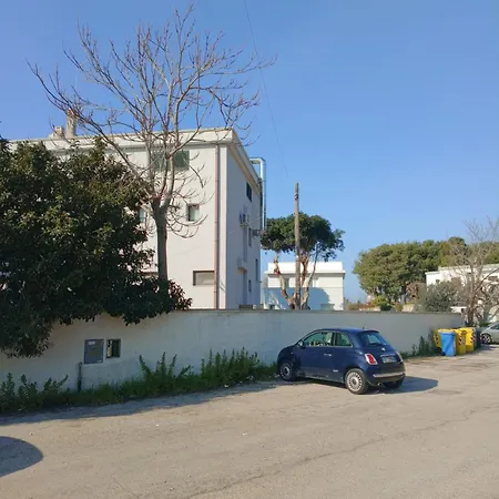 Guest house Newfaro2 *
